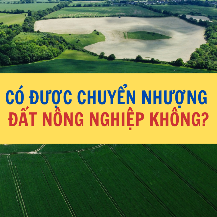 Có được chuyển nhượng đất nông nghiệp không? - Công ty Luật Thuận Đức